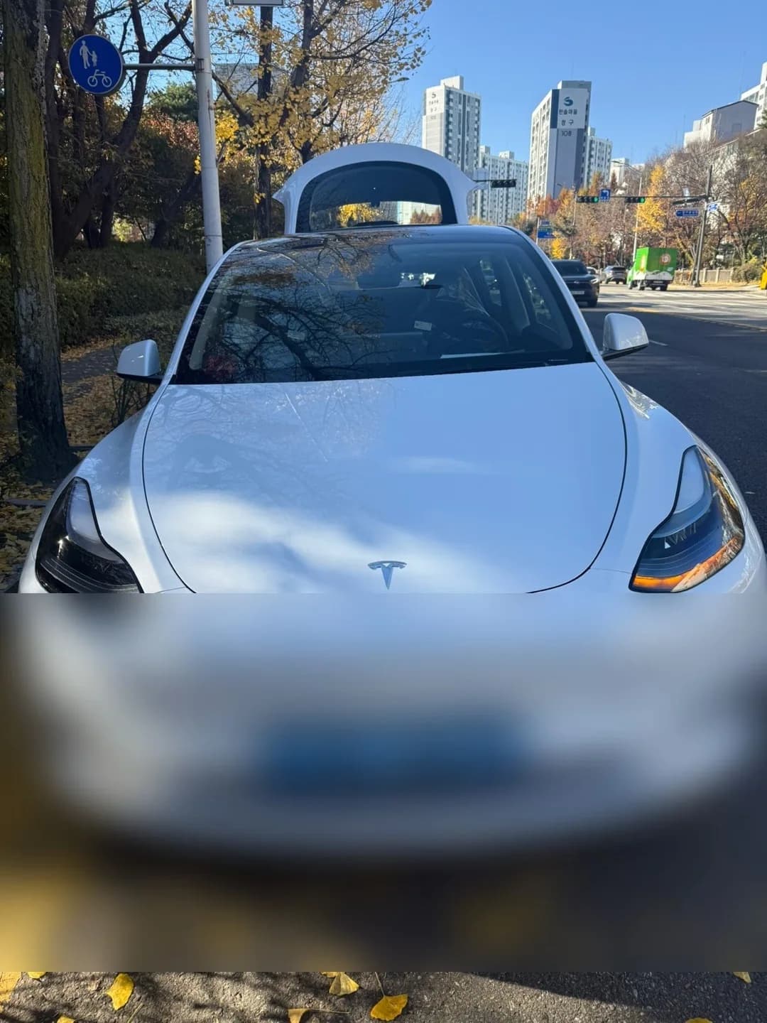 테슬라 Model Y